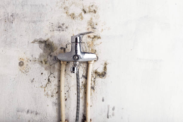 Best Water Damage Restoration  in Happy Valley, CA