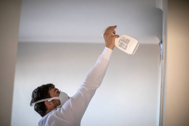 Best Mold Testing  in Happy Valley, CA