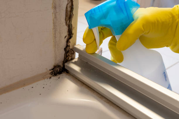 Best Emergency Mold Removal  in Happy Valley, CA