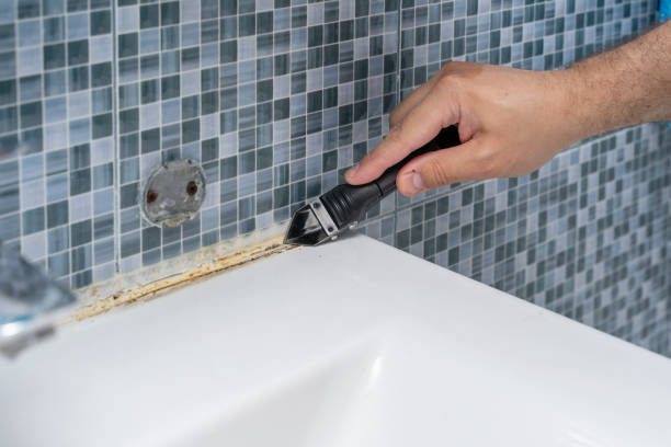 Best Commercial Mold Removal  in Happy Valley, CA